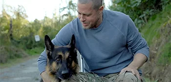 Heart of the Beast movie feature image