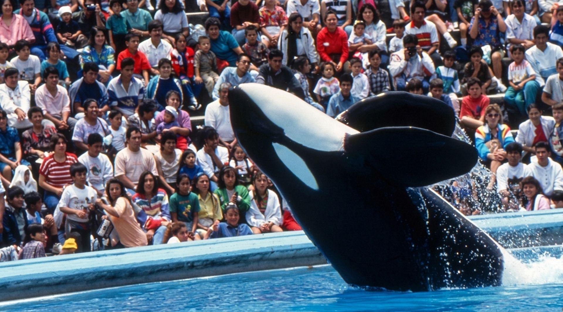 Keiko Orca Documentary
